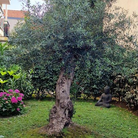 Superbe Appartement Avec Jardin Saint Charles Biarriz Exterior foto