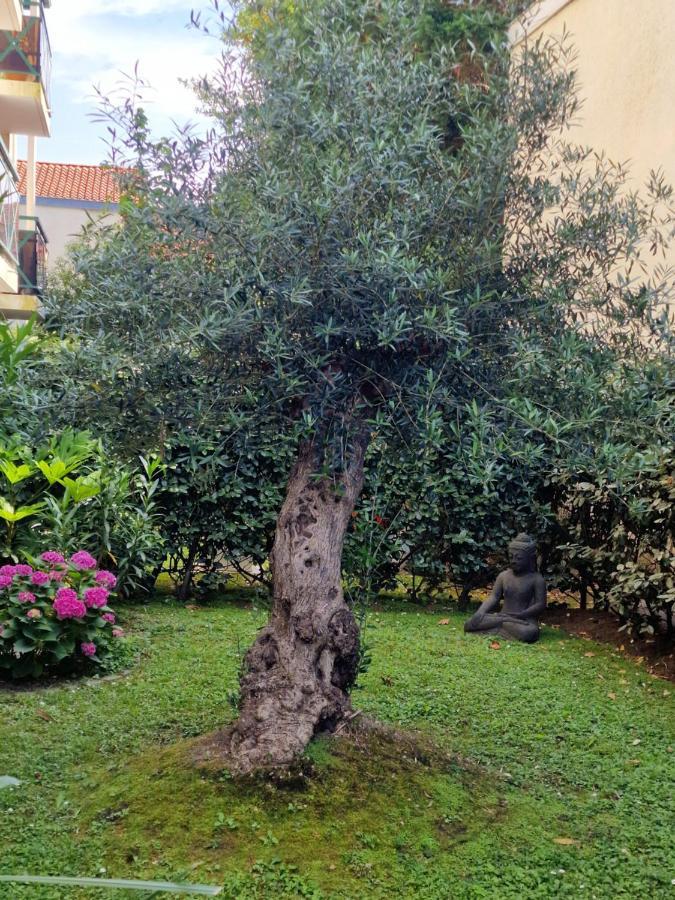 Superbe Appartement Avec Jardin Saint Charles Biarriz Exterior foto